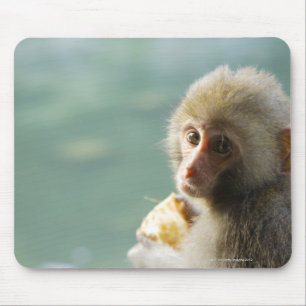 Monkey Mouse Pad