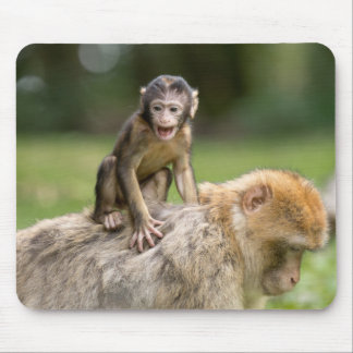 Monkey Mousepad