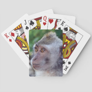 Monkey Playing Cards