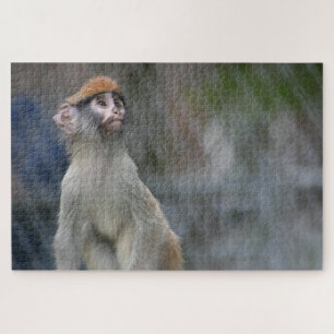 Monkey Portrait Jigsaw Puzzle