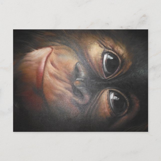 Monkey Postcard (Front)