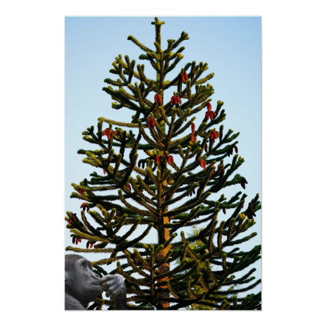 Monkey Puzzle. Poster (Front)