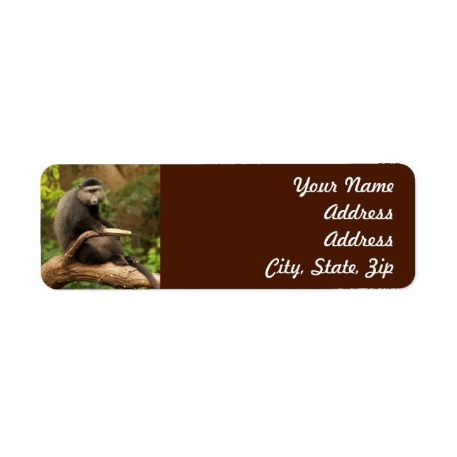 Monkey  Return Address Sticker (Front)