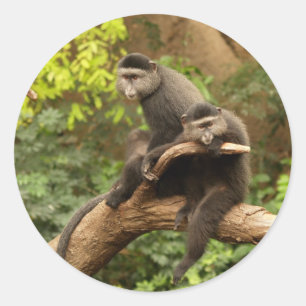 Monkey  Round Sticker