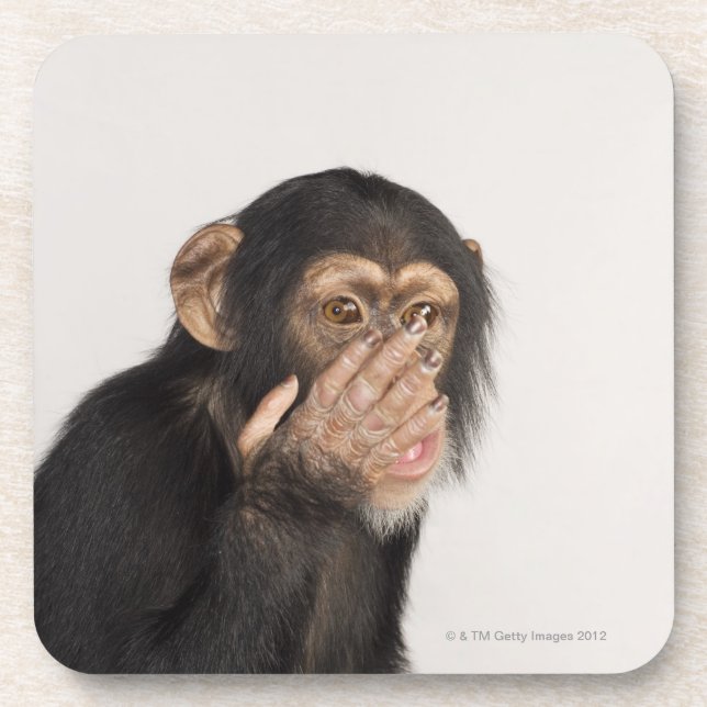 Monkey rubbing its face coaster (Front)