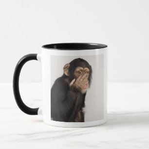 Monkey rubbing its face mug