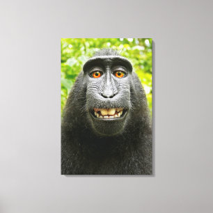 Monkey Selfie Canvas Print