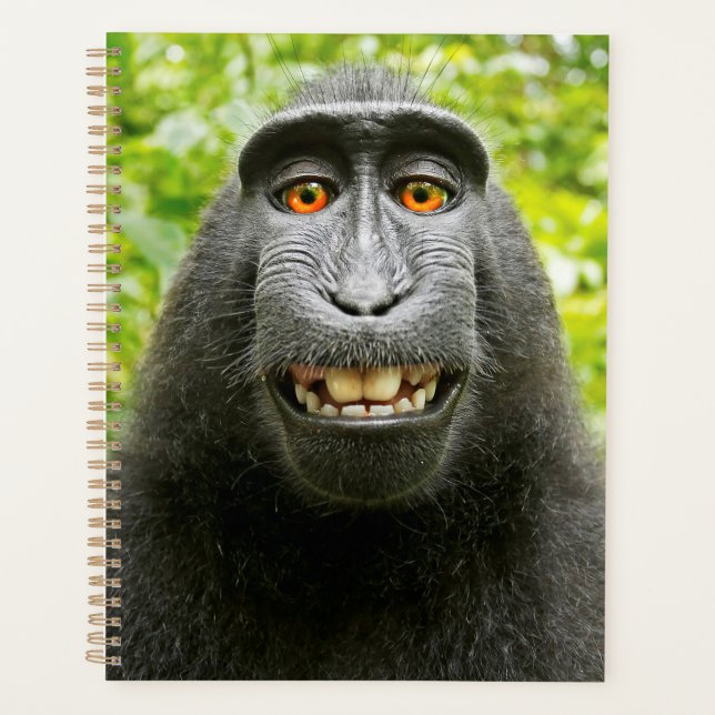 Monkey Selfie Planner (Front)