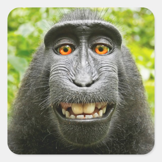 Monkey Selfie Square Sticker (Front)