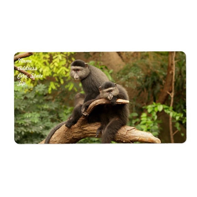 Monkey  Shipping Label (Front)
