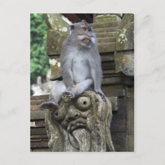 Monkey sitting at a statue in Bali Postcard