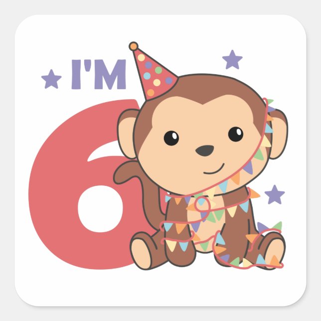 Monkey Sixth Birthday Kids 6 Years Old Square Stic Sticker (Front)
