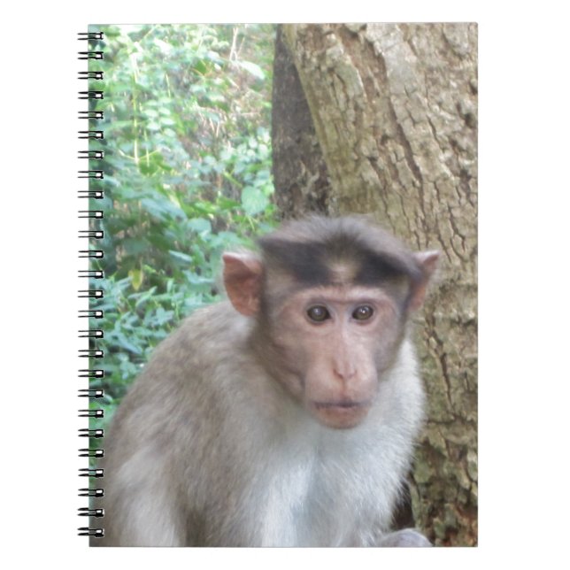 Monkey Spiral Notebook (Front)