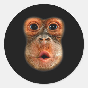 Monkey Stomach Funny Meme Cool Viral Video Classic Round Sticker