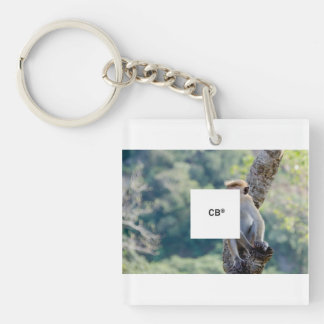 monkey t-shirt key ring