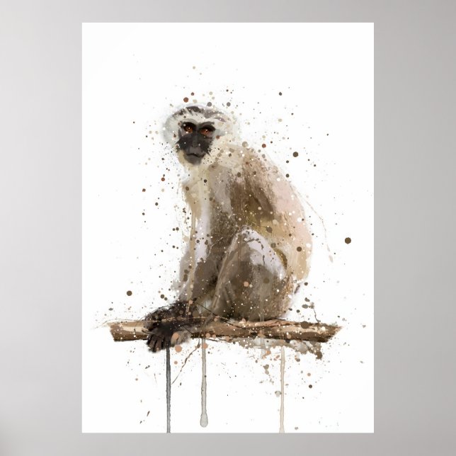 Monkey Vervet Poster (Front)