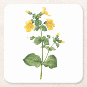 monkeyflower(Mimulus sp.) by Redouté Square Paper Coaster