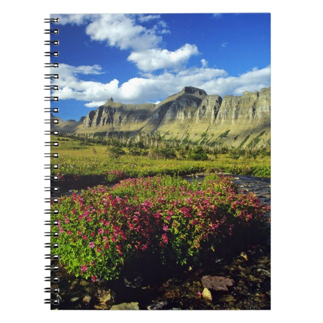 Monkeyflowers at Logan Pass in Glacier National Spiral Notebook (Front)