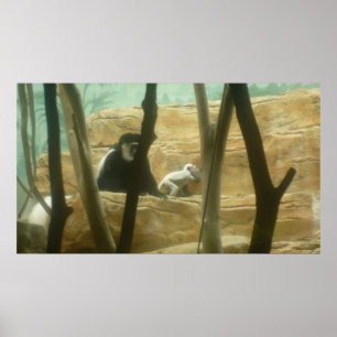 Monkeying Around Poster