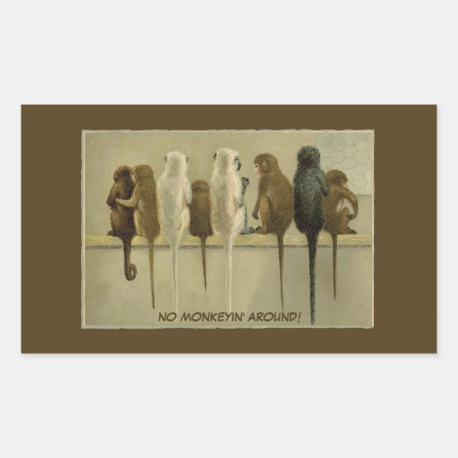 Monkeys Business Birthday From Group Personalised Rectangular Sticker (Front)