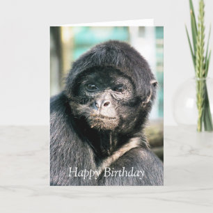 MONKEYS CARD