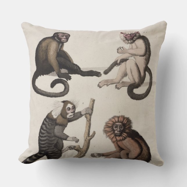 Monkeys (colour litho) cushion (Front)