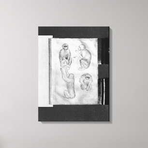 Monkeys, from The Vallardi Album Canvas Print