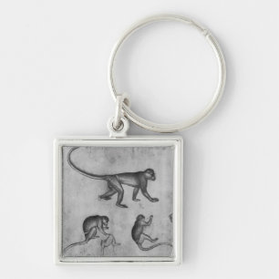 Monkeys, from The Vallardi Album Key Ring