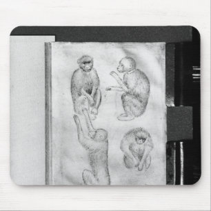 Monkeys, from The Vallardi Album Mouse Pad