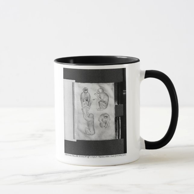 Monkeys, from The Vallardi Album Mug (Right)