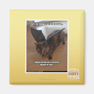 Monkeys on vacation magnet