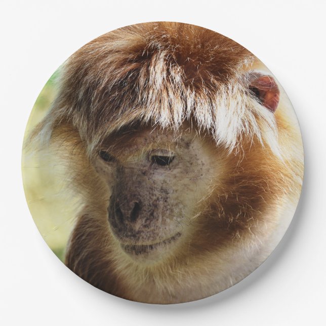 MONKEYS PAPER PLATE (Front)