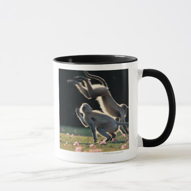 Monkeys playing mug (Right)