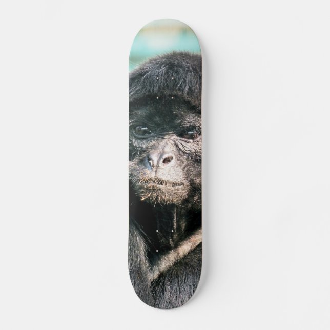 MONKEYS SKATEBOARD (Front)