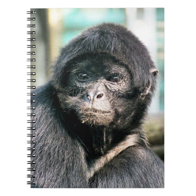 MONKEYS SPIRAL NOTEBOOK (Front)