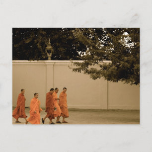 Monks on the Way Home Postcard