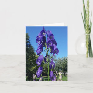 Monkshood Blues Card