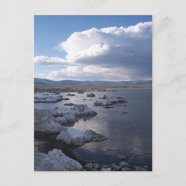 Mono Lake Postcard (Front)