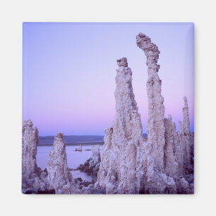 Mono Lake Reserve. California. USA. Tufa Magnet
