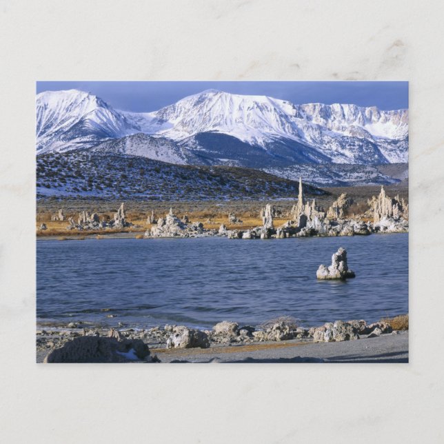 MONO LAKE TUFA STATE NATURAL RESERVE, POSTCARD (Front)