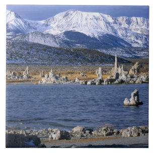 MONO LAKE TUFA STATE NATURAL RESERVE, TILE