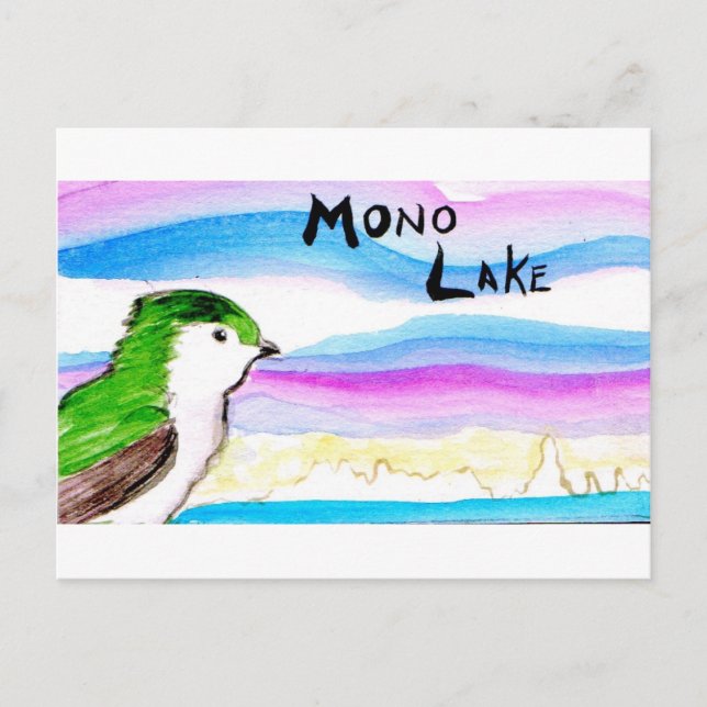 mono lake violet gree swallow postcard (Front)