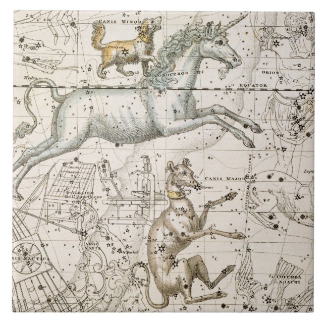 Monoceros, from 'A Celestial Atlas', pub. in 1822 Tile (Front)