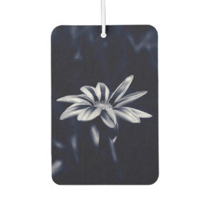 Monochromatic Blue Gazania Flower Photograph Car Air Freshener