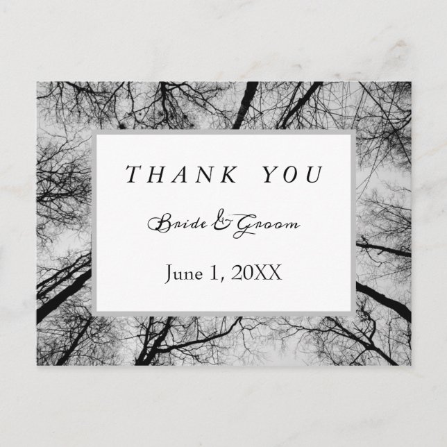 Monochromatic treetops thank you postcard (Front)