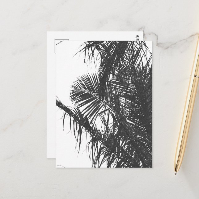 Monochrome Black White Palm Tree Leaves Postcard (Front/Back In Situ)