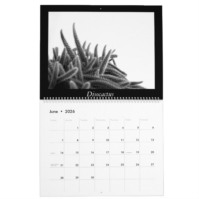 Monochrome Cacti 2025 Calendar (Jun 2026)