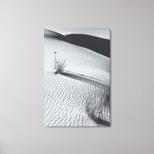 Monochrome Desert Landscape with Grass Tufts Canvas Print