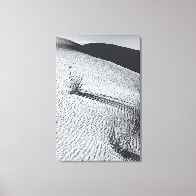 Monochrome Desert Landscape with Grass Tufts Canvas Print (Front)