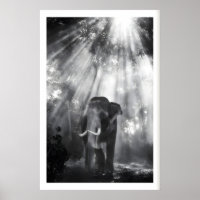 Monochrome Elephant Wall Art, Nature Photo (Living